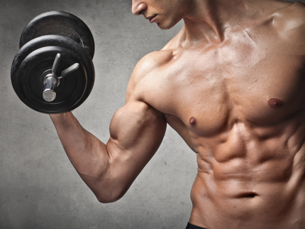 dolphin-neurostim-muscle-pain