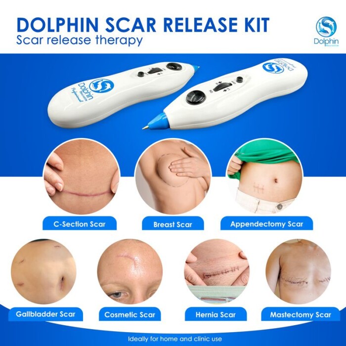 Dolphin Professional Blue Tip (BT) 2 units - Upgrade Special! - Image 3