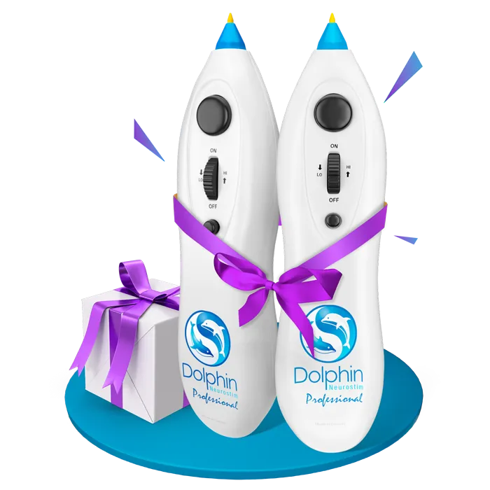 Dolphin Banner image